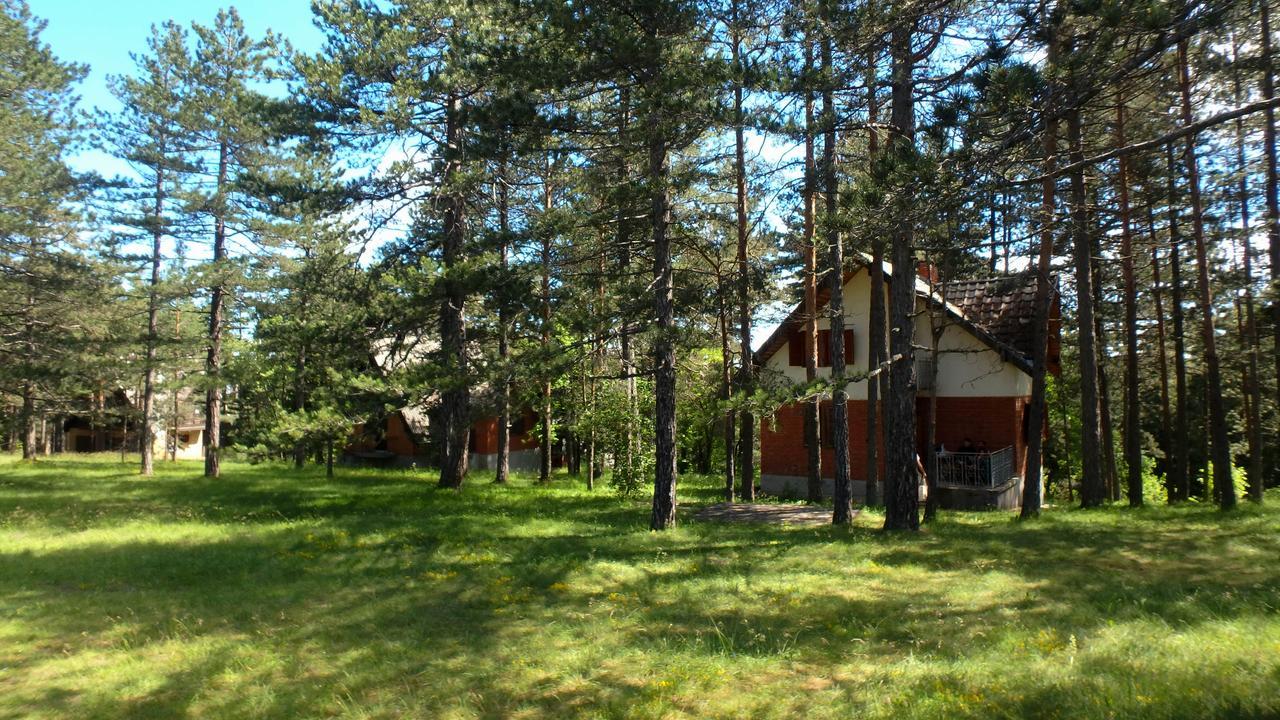 Rustic Home Tara Kaludjerske Bare Exterior photo
